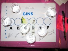 20160902 GinTasting-035